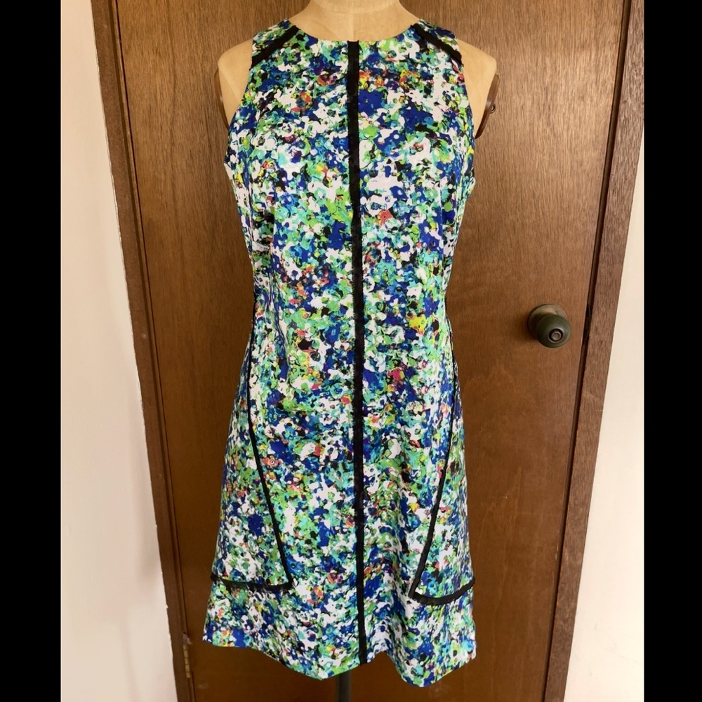 Ann Taylor Dress